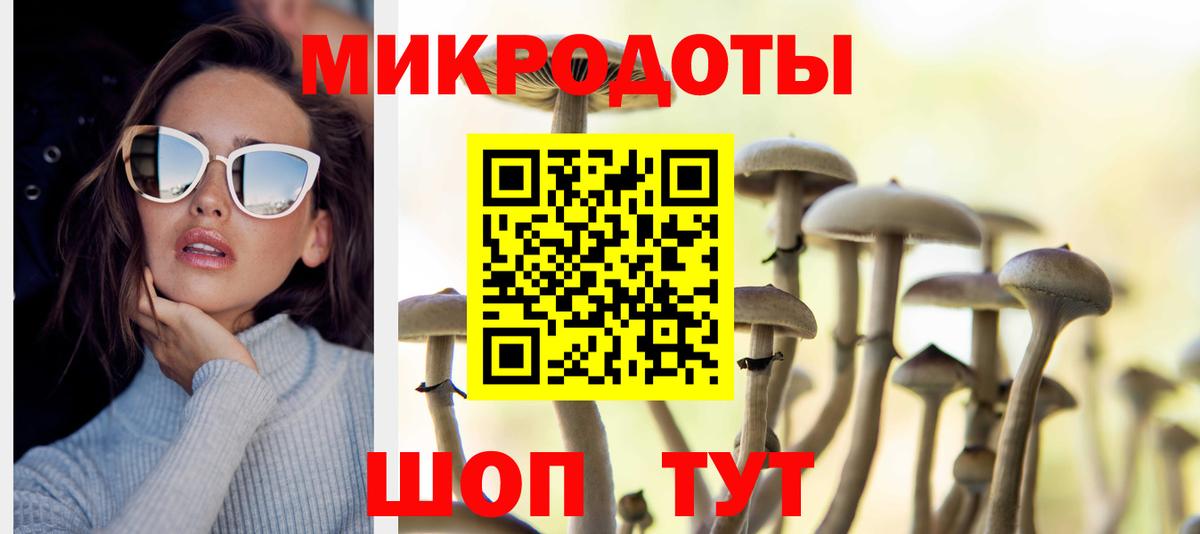 Псилоцибиновые грибы Cubensis Мирный